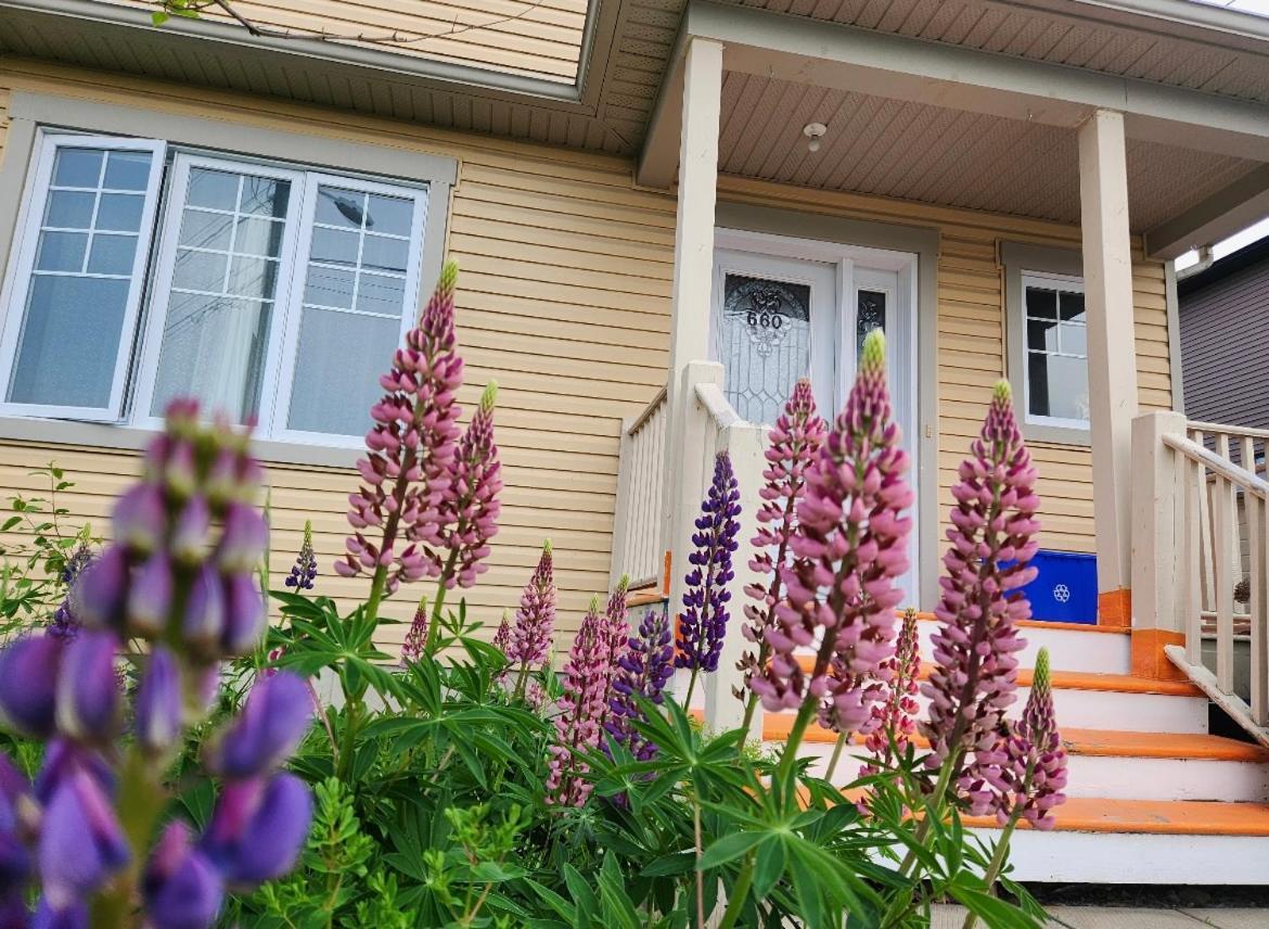 Maison Chaleureuse, Energetique Et Florale Sherbrooke Bagian luar foto